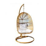 ���� �������� ������� ������ ��������-�������� ������������