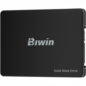 SSD- Biwin 1.0Tb M100 (BM100NN01TB-RGX) 