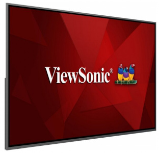     ViewSonic CDE8620 black - 