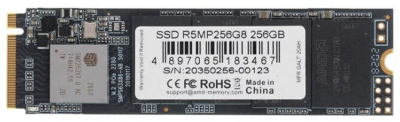 SSD- AMD Radeon 256  M.2 R5MP256G8