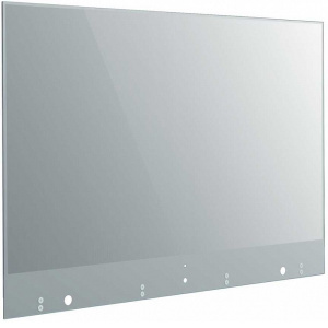    LG 55" 55EW5F, silver - 