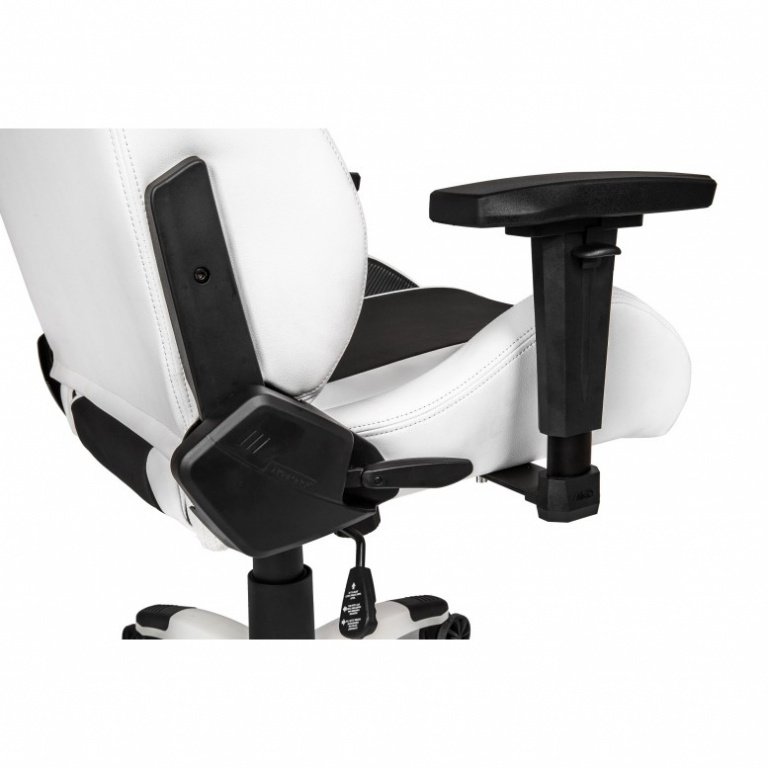 AKRACING Arctica .150 43 51 53 180
