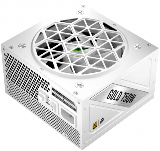 ���� ������� 1STPLAYER NGDP GOLD 750W (ATX 3.1, APFC, 80 PLUS Gold) �����