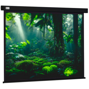 ���� ������ ����� ��� ��������� Cactus Wallscreen CS-PSW-213X213-BK 213x213��, black ��������-�������� ������������