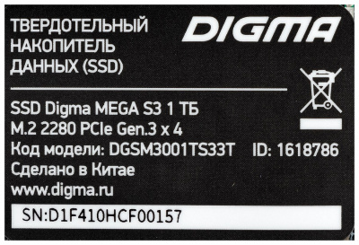 SSD- Digma 1  DGSM3001TS33T