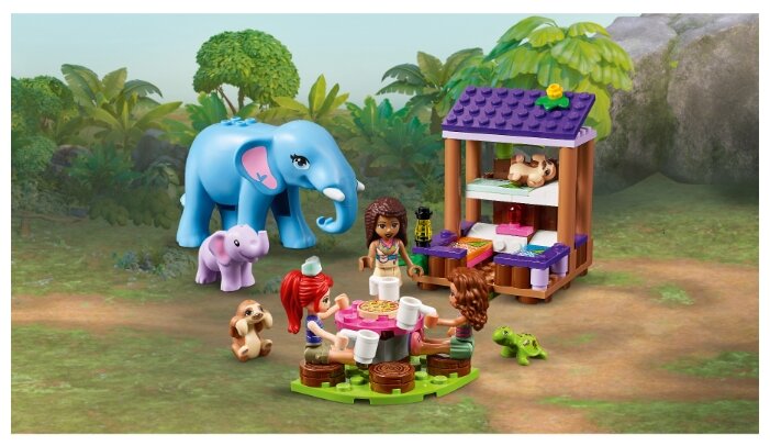 LEGO Friends 41424 8 648
