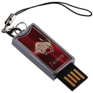    Flash Drive    8GB - 