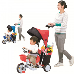     IDES Cargo Plus  - 