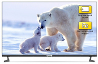 ��-��������� Polarline 43PL52TC, 43" black