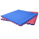 ����-��� DFC ���-2040 blue / red