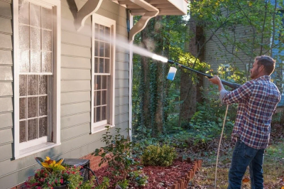 ���� ������ ����� �������� �������� GreenWorks GPWG5II 140 bar (5106607) ��������-�������� ������������