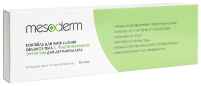  Mesoderm  