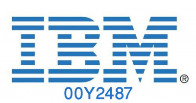  IBM Easy Tier (00Y2487)