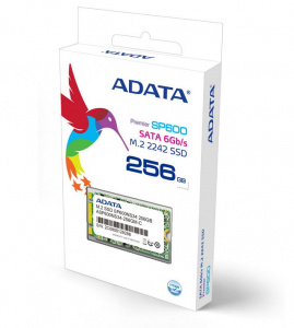 SSD- ADATA Premier SP600 256GB (M.2 2242)