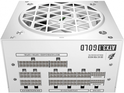 ���� ������� 1STPLAYER NGDP GOLD 750W (ATX 3.1, APFC, 80 PLUS Gold) �����