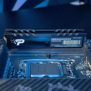 ����������� ������ Patriot PSP516G560081H1 DDR5 16Gb