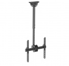 ��������� Arm Media LCD-1800 black