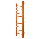     2.01.01-01 (2,3  0,65 ), Nut