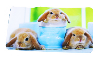 Фото товара Коврик для мыши Buro rabbit интернет-магазина ТопКомпьютер