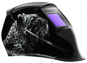 ����� �������� ���� �� 207