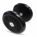  Barbell  16,   