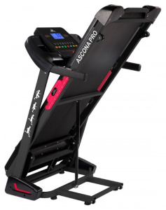 ���� ������ ������� ������� DFC ASCONA Pro T640 ��������-�������� ������������