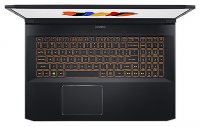  Acer ConceptD 5 Pro CN517-71P-733G (NX.C55ER.004), black