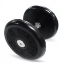  Barbell  15 