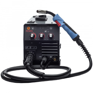 ��������� ������� ������� �����-24�/200� (MIG/MAG) 65/110