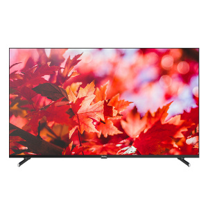 - Blackton Bt 50FSU42B 