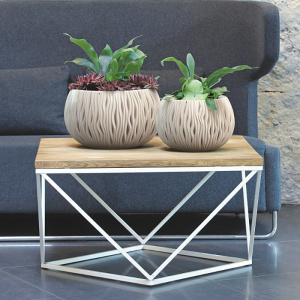 ����� Prosperplast SANDY BOWL DSK290-7529U, mocha